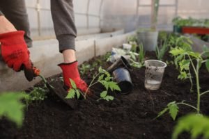 Gartenarbeit im Frühling